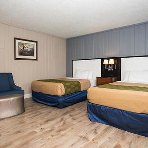 Standard Room Two Double Beds